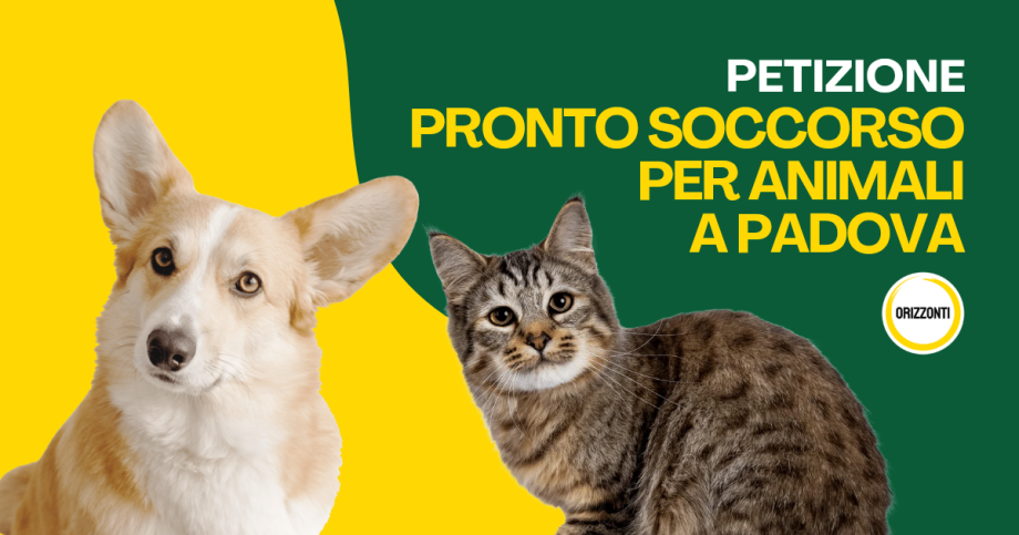 PRONTO_SOCCORSO_PER_ANIMALI_A_PADOVA_20260520_015818_00002.png