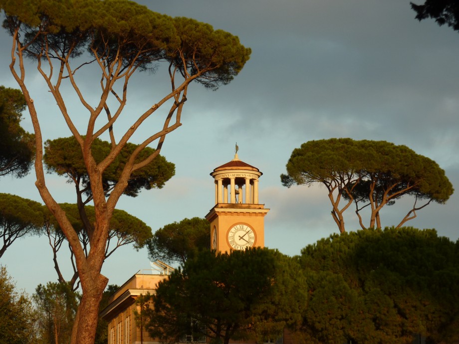 PiazzaSiena_Torretta_home_21.JPG